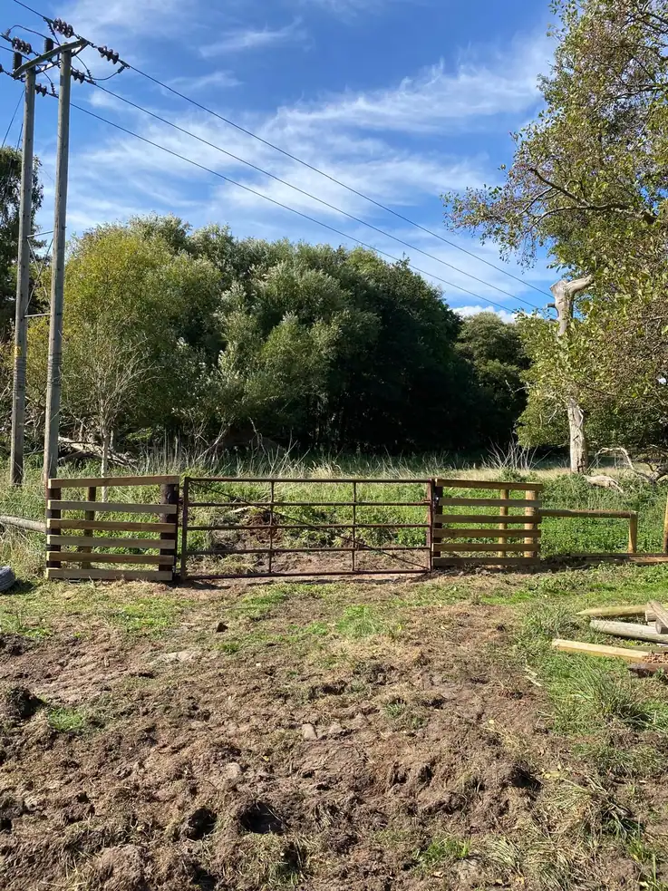 Fencing 11