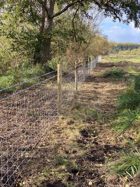Fencing
