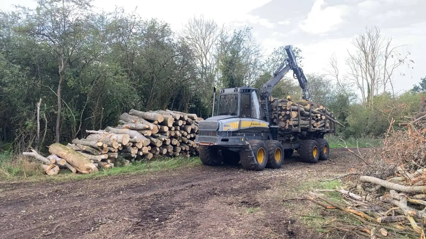 Forestry project 1