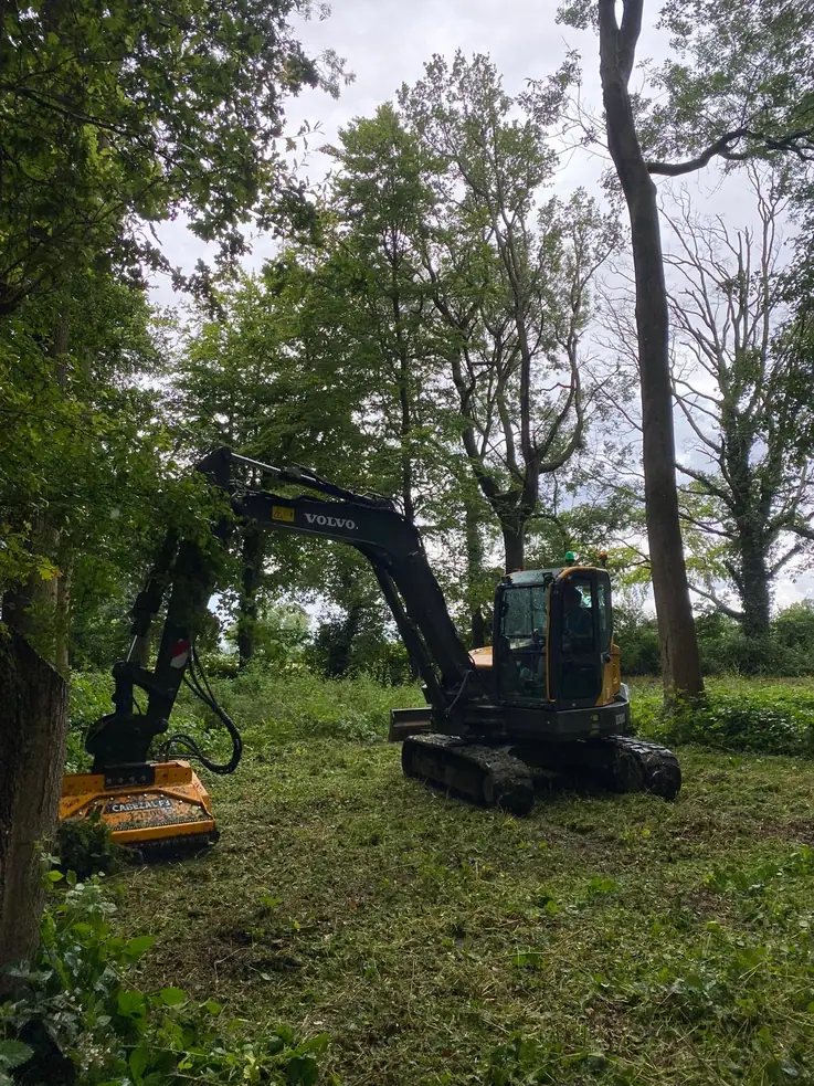 Mulching & Stump Grinding 10