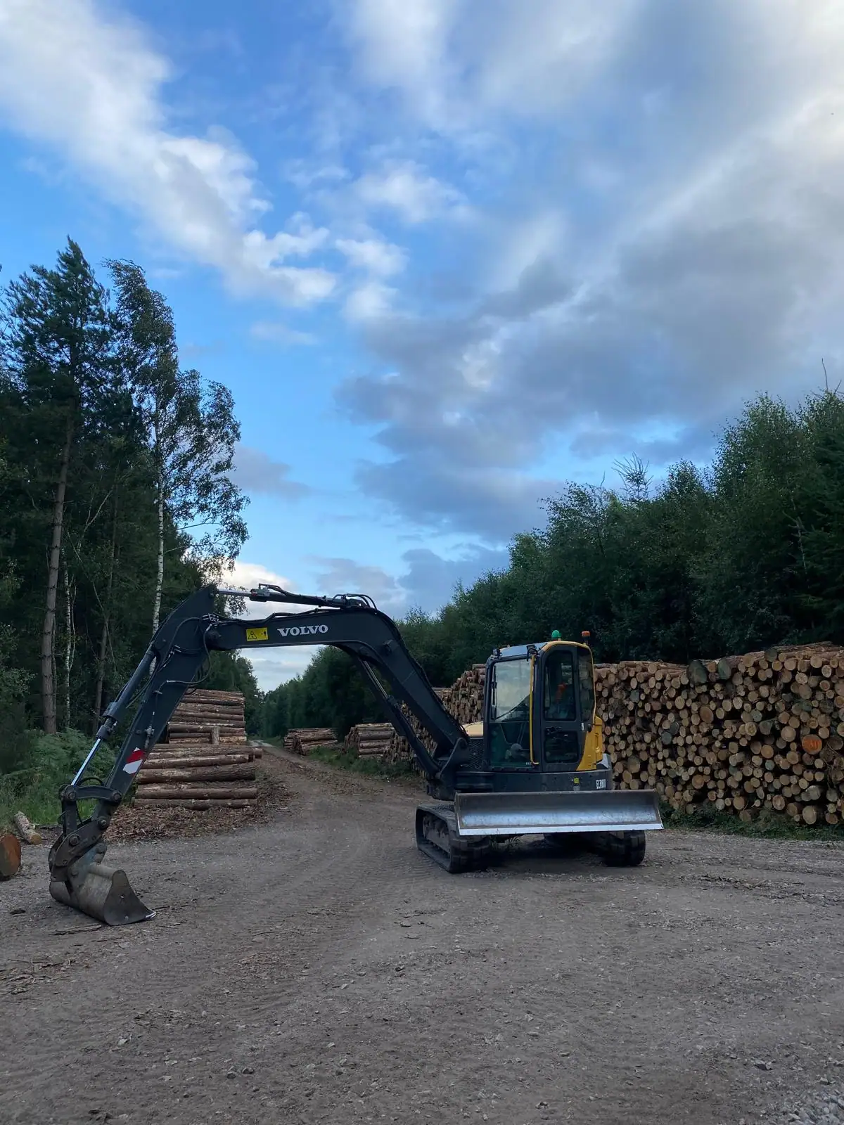 Forestry 8