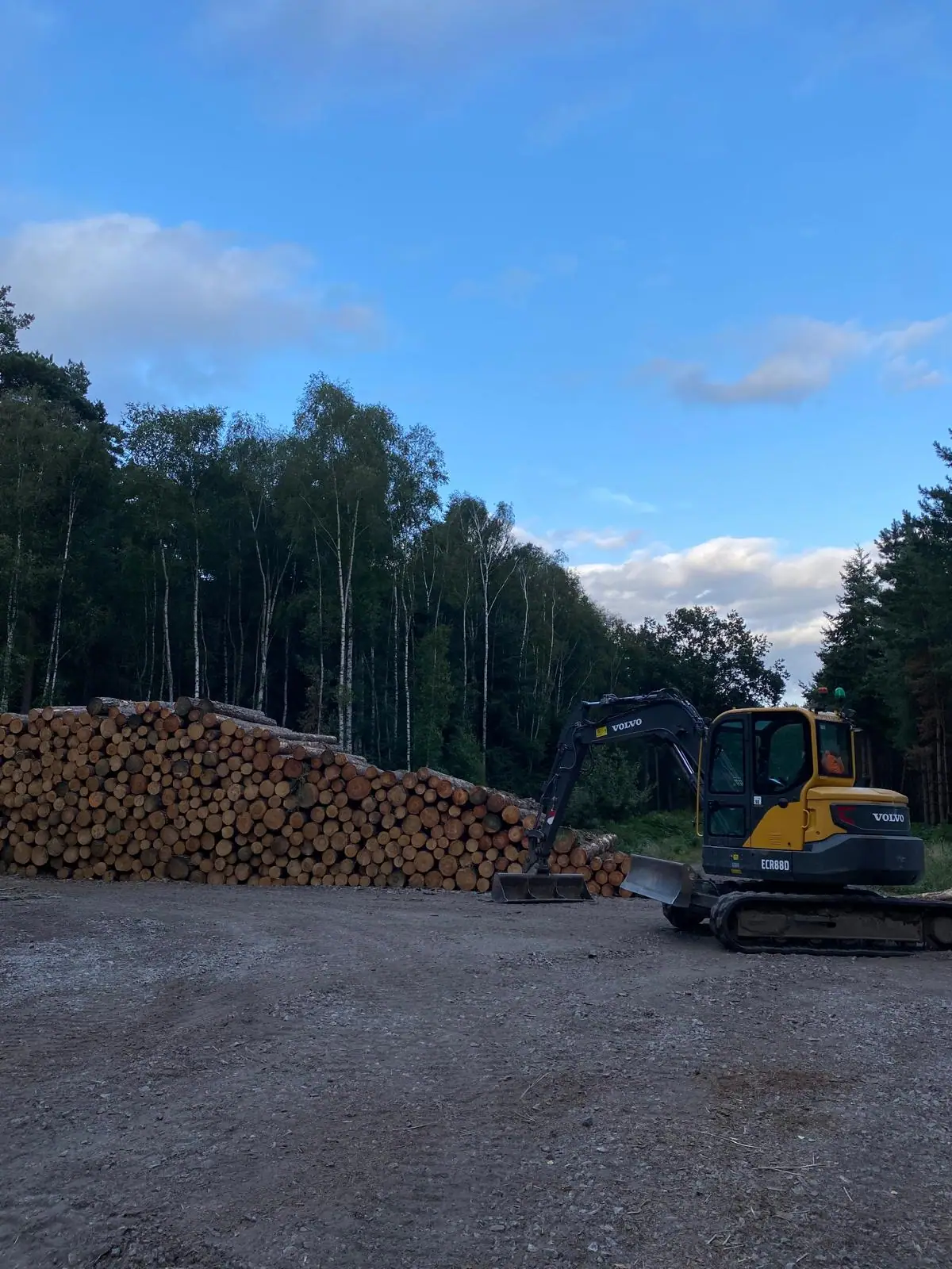 Forestry 5