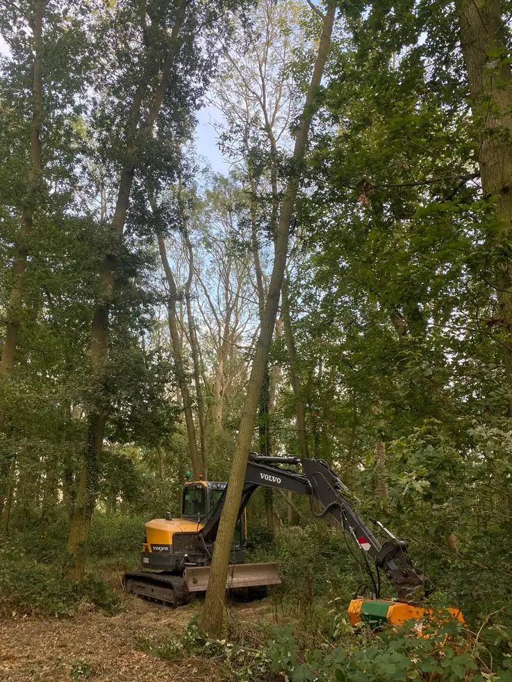 Mulching & Stump Grinding 11