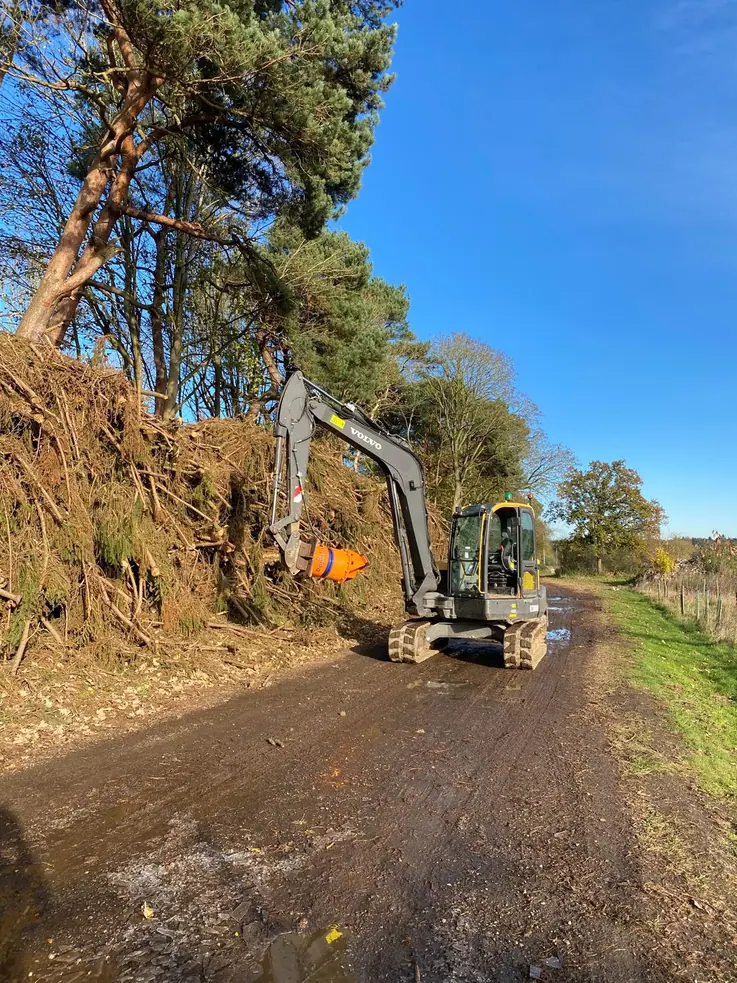Mulching & Stump Grinding 12