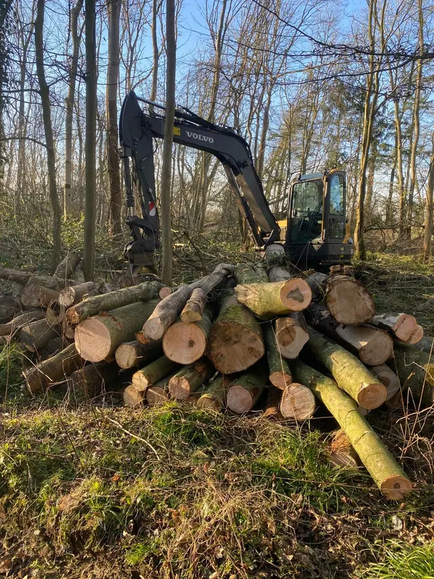 Forestry 9