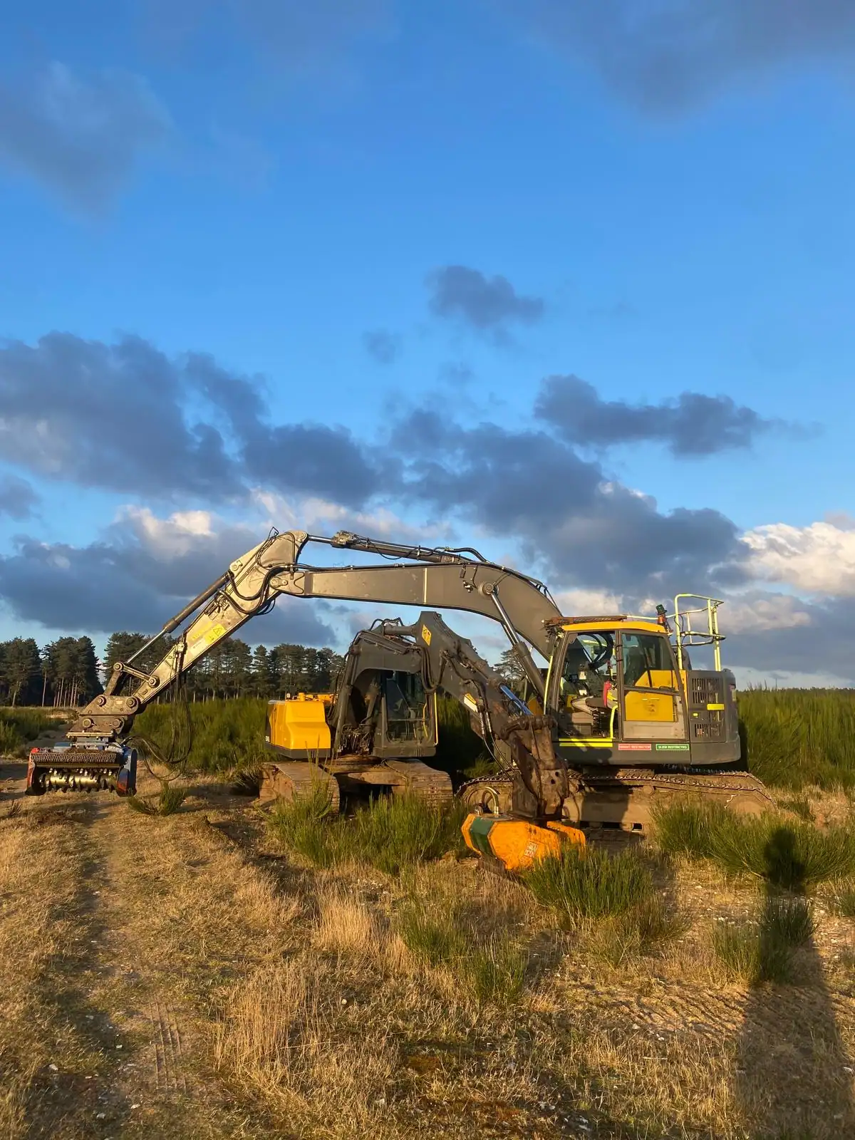 Mulching & Stump Grinding 16