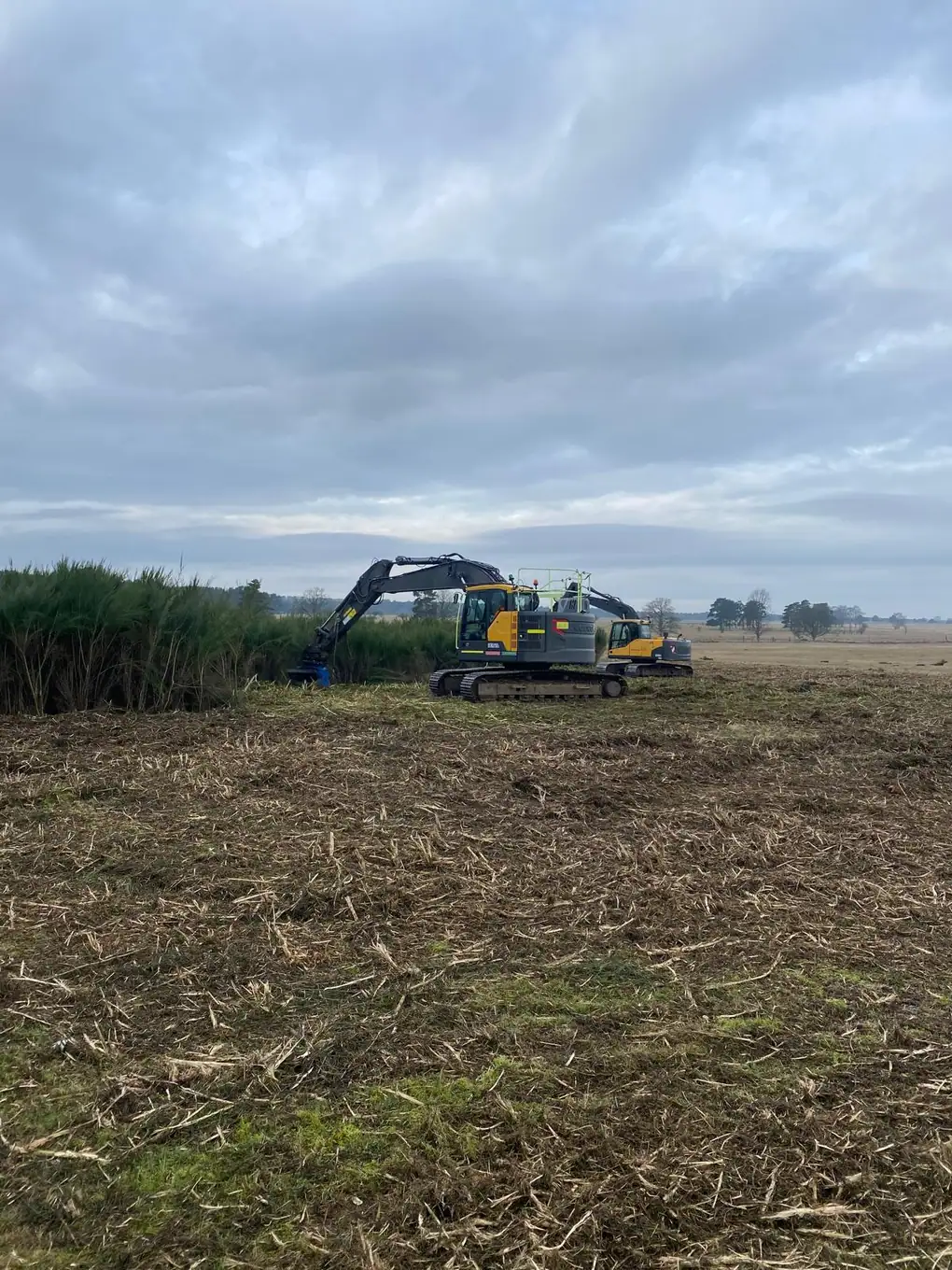 Mulching & Stump Grinding 18