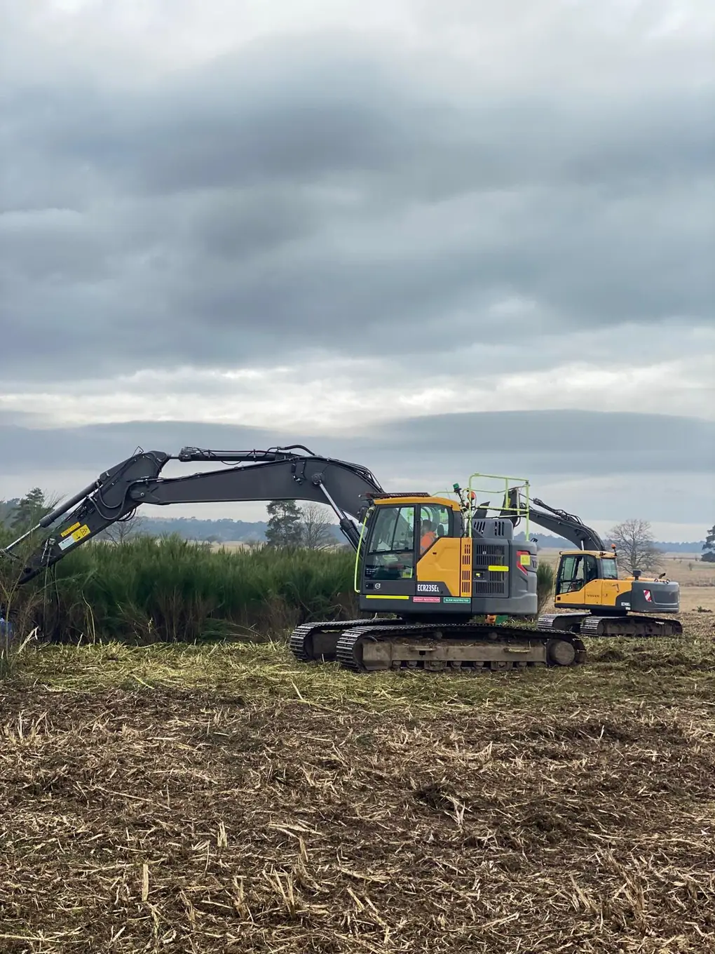Mulching & Stump Grinding