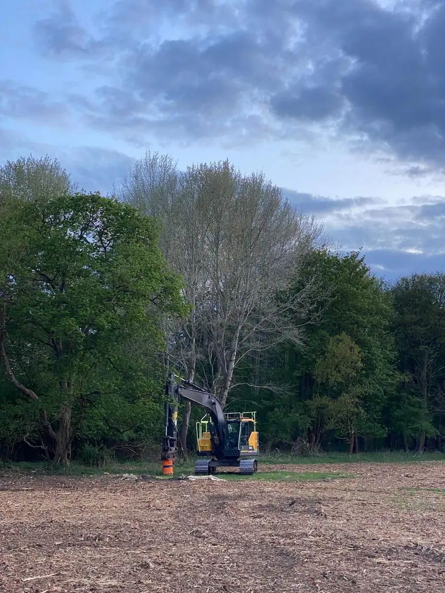 Mulching & Stump Grinding 5