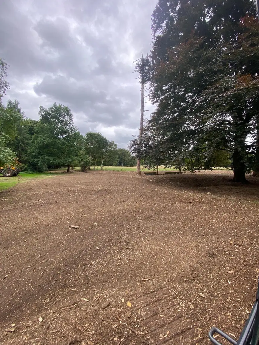 Mulching & Stump Grinding 6