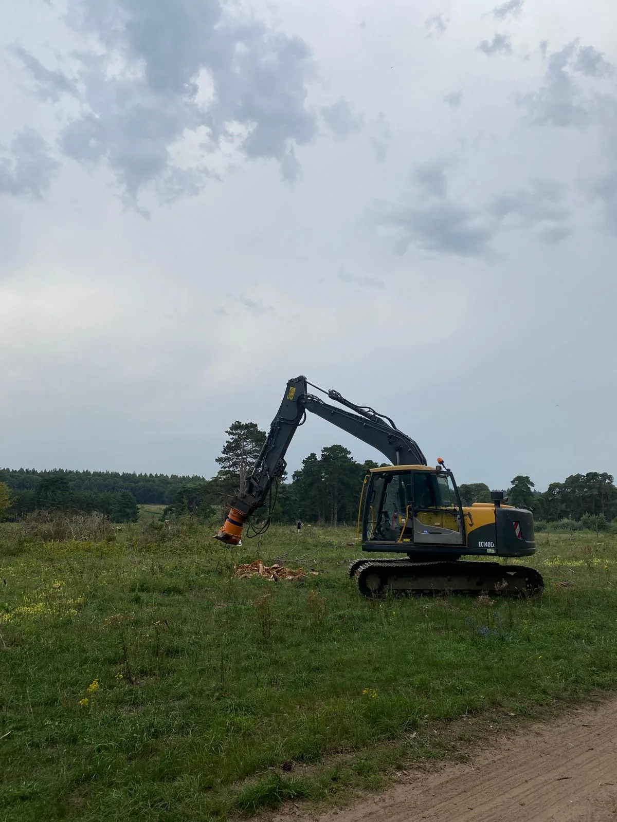 Mulching & Stump Grinding 7