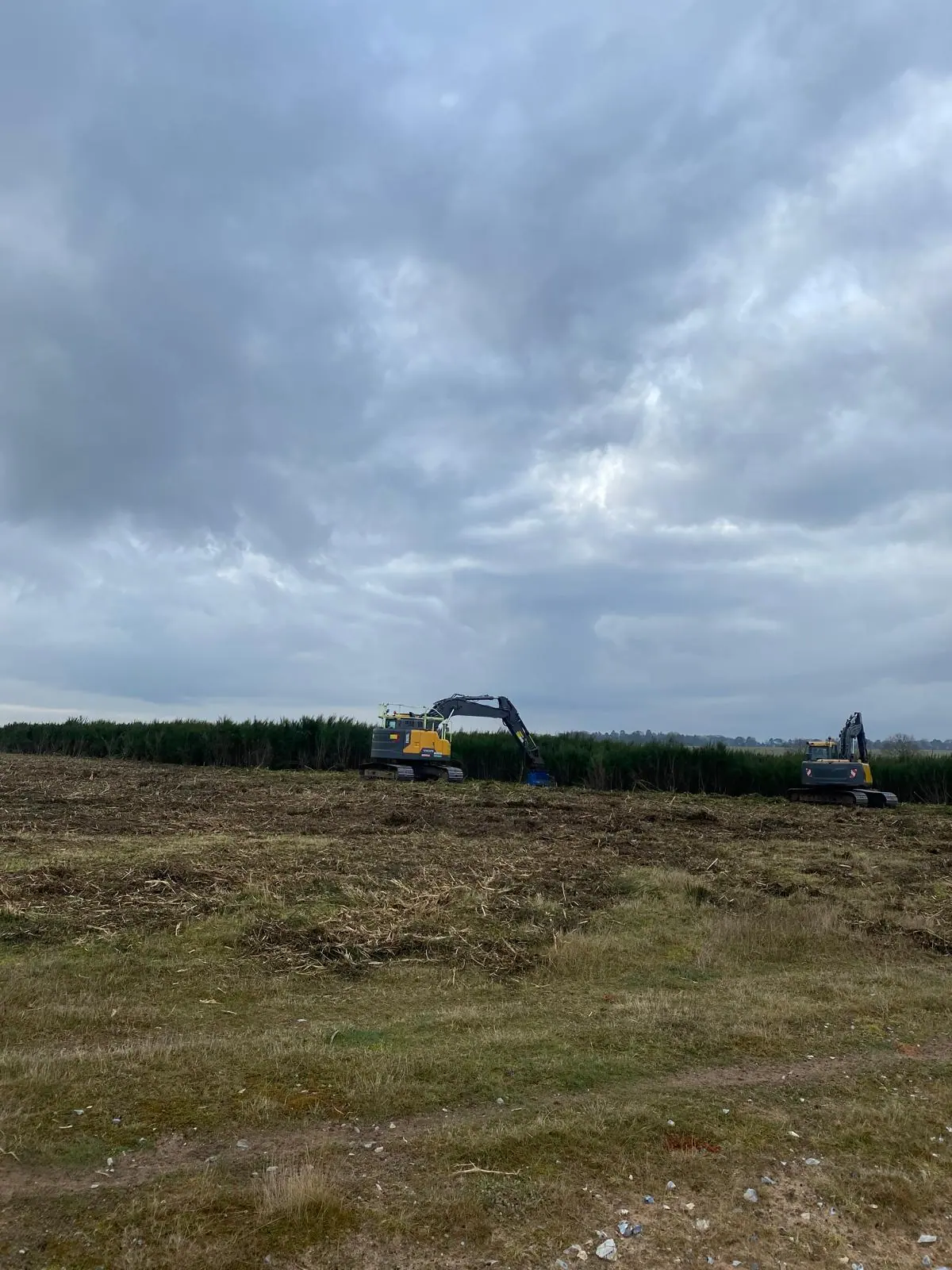 Mulching & Stump Grinding 2