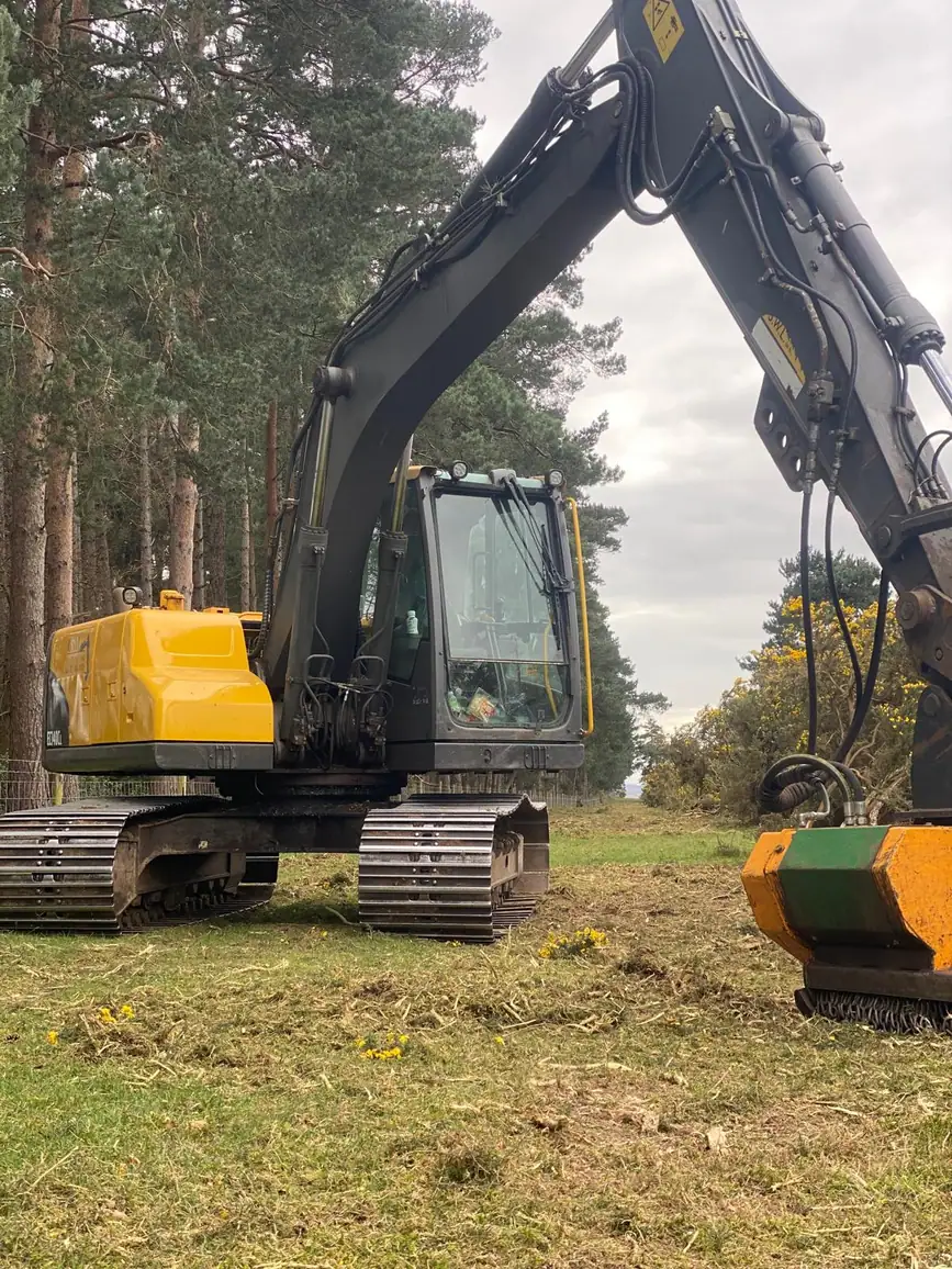 Mulching & Stump Grinding 8