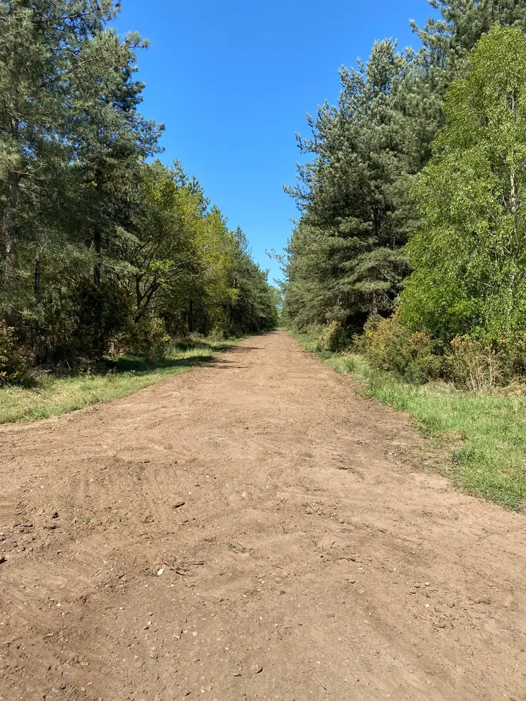 Forestry 15