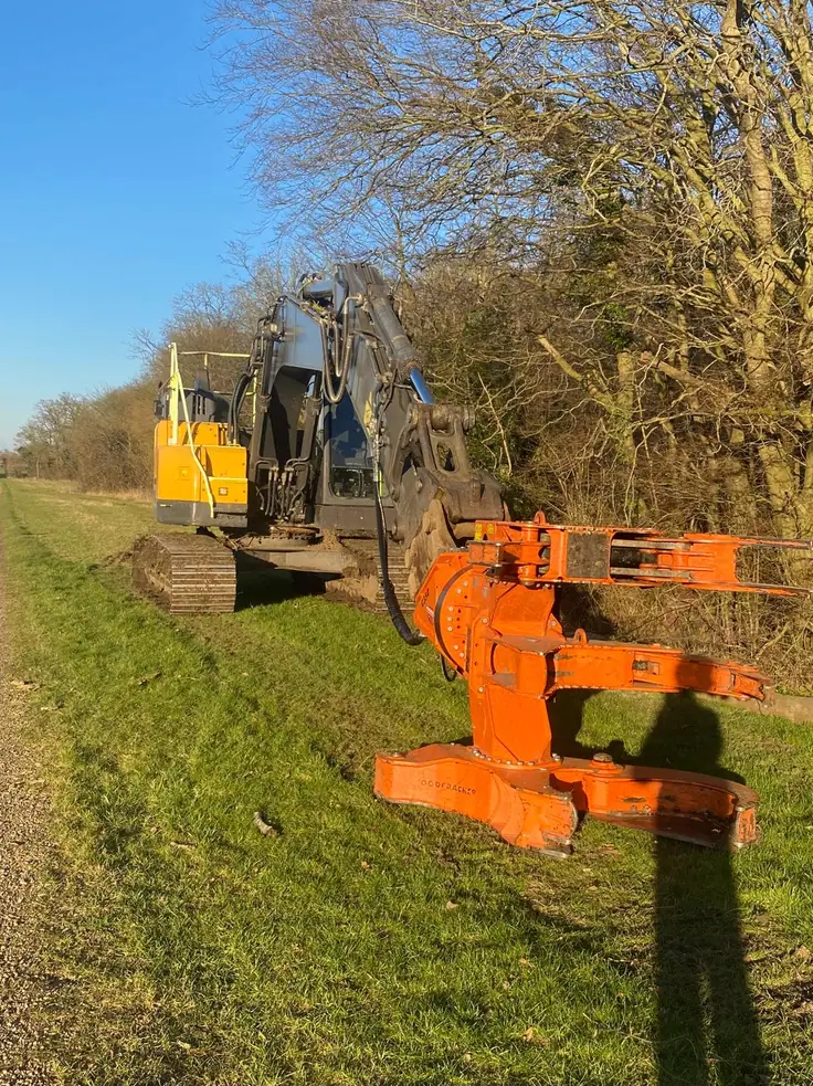 Forestry 16