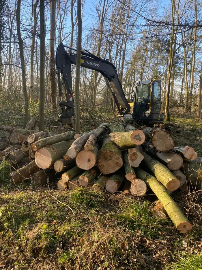 Forestry 6